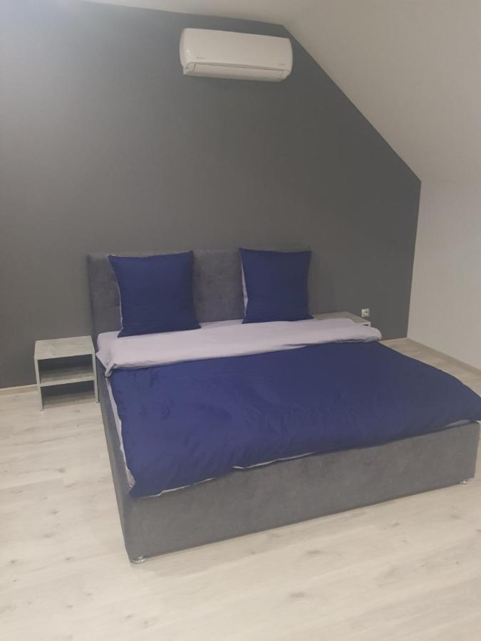 Uzhorod 3 Room Lovely House Esterno foto